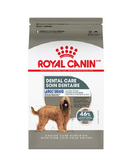 ROYAL CANIN Maxi Dental Care 9 kg