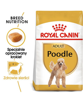 ROYAL CANIN Poodle adult 0.5 kg nourriture sèche pour caniches miniatures adultes