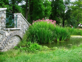 Un étang avec une végétation riveraine et un pont.