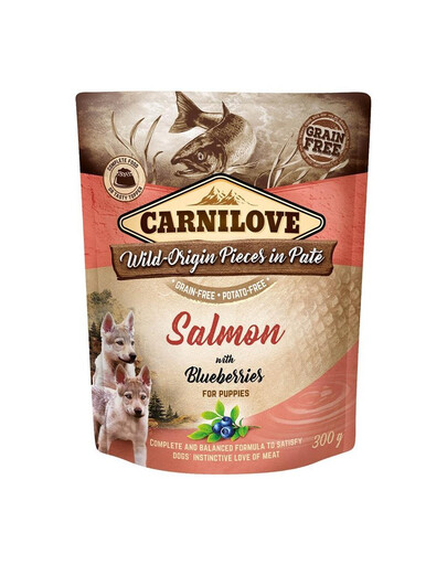 CARNILOVE - Pâtée pour Chien Saumon & Myrtilles - 300 g