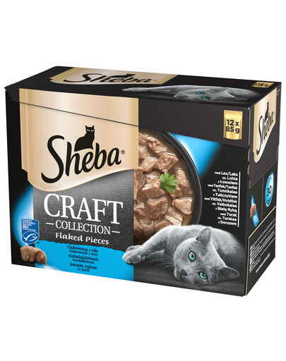 SHEBA Sachet 48x85g Craft Collection Fish Flavours - nourriture humide pour chats en sauce (au saumon, au thon, au poisson blanc, au cabillaud) + gamelle gratuite