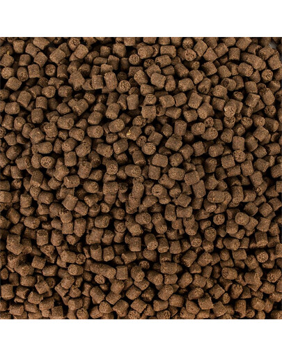 TROPICAL Sterlet basic M 3 l (1,5kg)