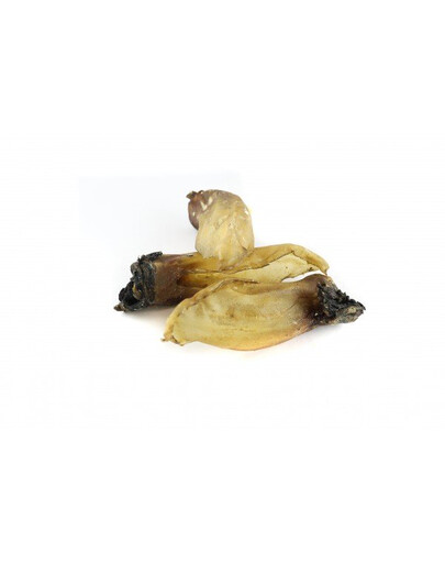 MACED - Oreilles de biche séchée - 10 pièces