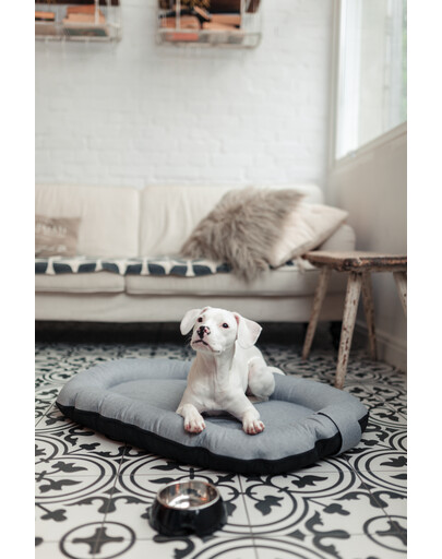 FERA Sky Ponton Lit pour chien M 88 x 62 cm