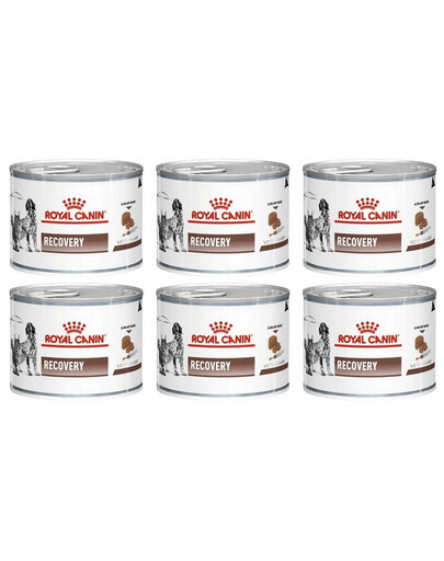 ROYAL CANIN Vet dog/cat recovery 195 g