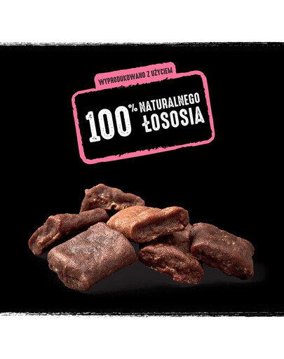 CRAVE Friandise pour chien sans céréales au saumon 55g