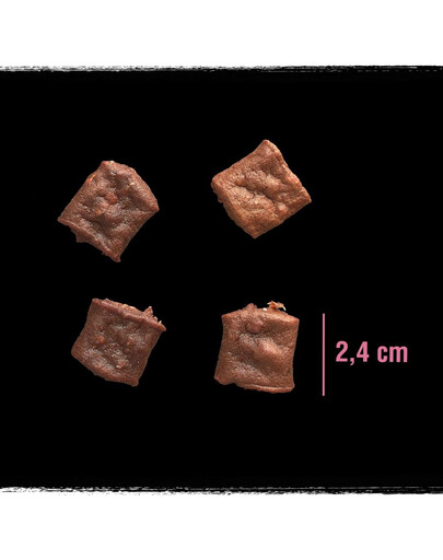 CRAVE Friandise pour chien sans céréales au saumon 55g
