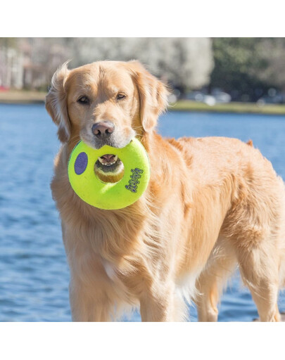 KONG AirDog Squeaker Donut large 16.5 cm