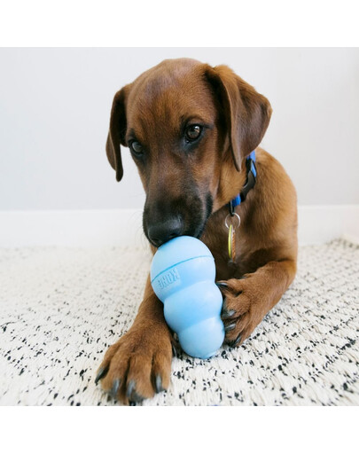 KONG Puppy medium 85mm kp2
