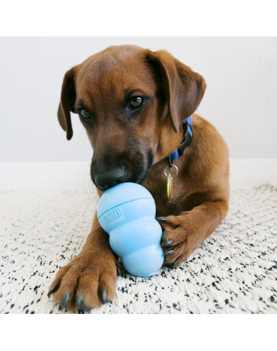 KONG Snacks Puppy 320 g