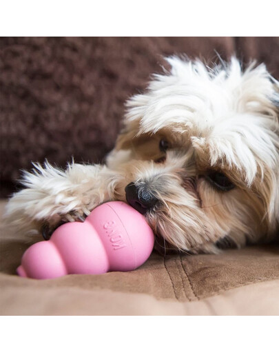 KONG Puppy small 73mm kp3
