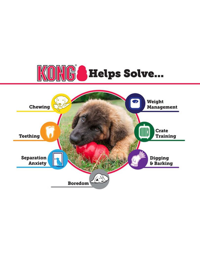 KONG Puppy XS