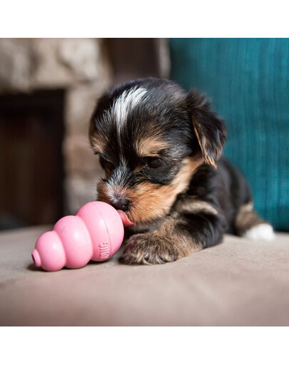 KONG Puppy XS