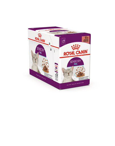 ROYAL CANIN Sensory feel en gelée 12x85 g