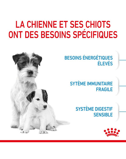 ROYAL CANIN Mini Starter Mother & Babydog 8 kg