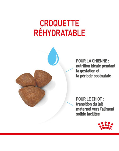 ROYAL CANIN Mini Starter Mother & Babydog 8 kg