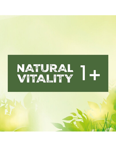 PERFECT FIT Natural Vitality Croquettes au bœuf et au poulet pour chats adultes 6 kg