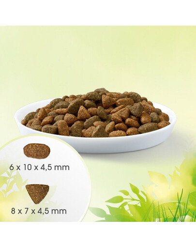 PERFECT FIT Natural Vitality Croquettes au bœuf et au poulet pour chats adultes 6 kg