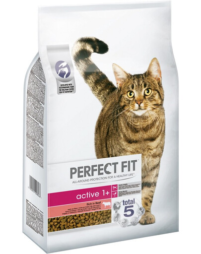 PERFECT FIT Active 1+ Croquettes riches en viande de bœuf pour chats adultes 7 kg