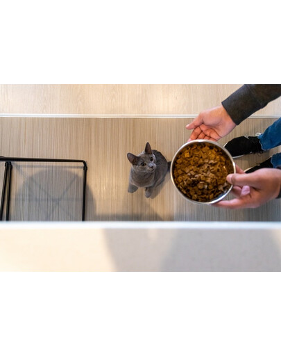 ZIWIPEAK Cat Chevreuil séché à l'air 400 g
