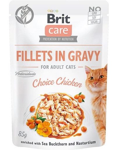 BRIT Care Fillets in Gravy sachets en sauce pour chats 24 x 85 g