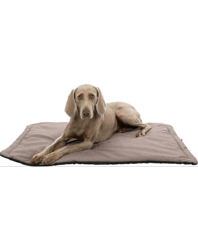 TRIXIE Be Nordic Tapis pour chien Föhr Soft 100 x 70 cm sable