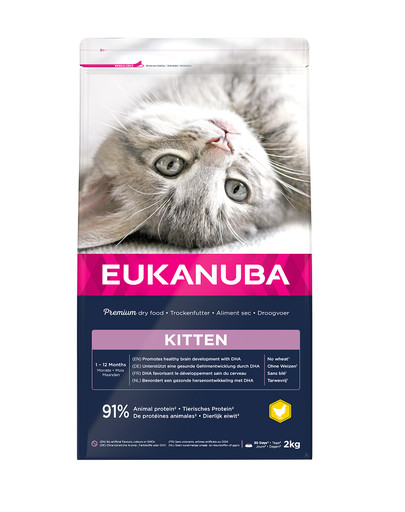 EUKANUBA Kitten Toutes Races Healthy Start Poulet & Foie DHA favorisant le développement sain du cerveau 2 kg