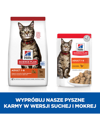 HILL'S Science Plan Feline 10kg pour chats adultes avec agneau