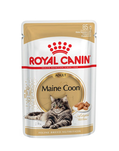 ROYAL CANIN Mainecoon Adult Loaf 48x85 g