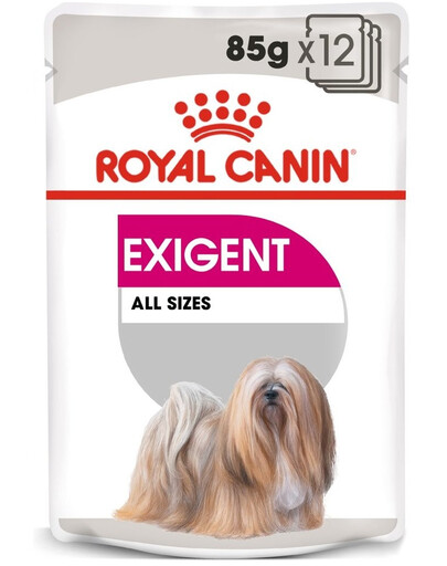 ROYAL CANIN Exigent nourriture humide - pâté pour chiens adultes difficiles 48 x 85 g