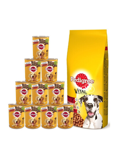 PEDIGREE Adult 15kg (grandes races) avec bœuf + nourriture humide 24x400g