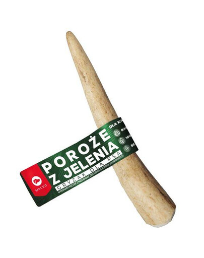 MACED - Bois de cerf taille M - 1 pièce