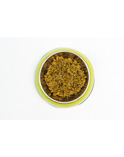 ARUBA Dog Organic Saumon avec quinoa, bok choy et curcuma 100 g