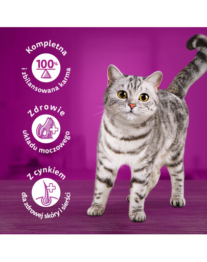 WHISKAS Adult nourriture sèche pour chats adultes avec du délicieux thon - 6x1,9 kg