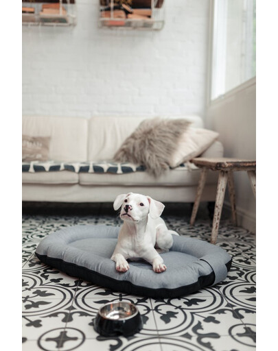 FERA Sky Ponton lit pour chien XL 116 x 83 cm