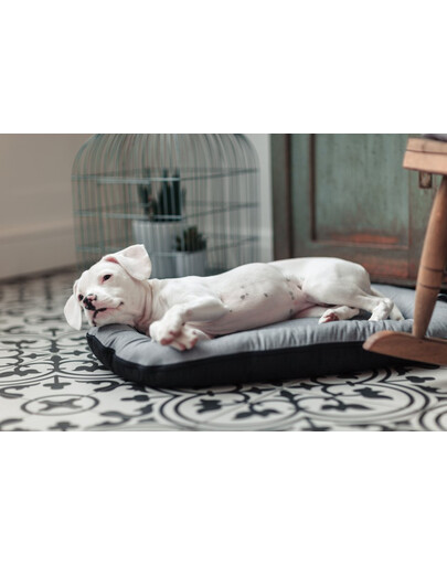 FERA Sky Ponton lit pour chien XL 116 x 83 cm