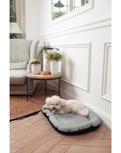 FERA Sky Ponton lit pour chien XL 116 x 83 cm
