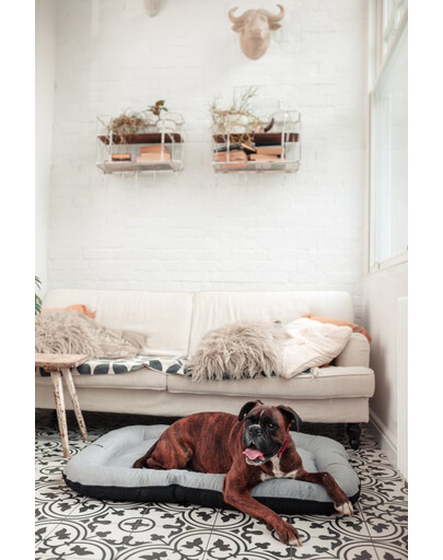 FERA Sky Ponton lit pour chien XL 116 x 83 cm
