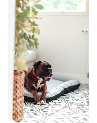 FERA Sky Ponton lit pour chien XL 116 x 83 cm
