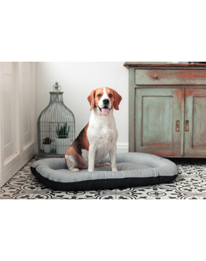 FERA Sky Ponton lit pour chien XL 116 x 83 cm