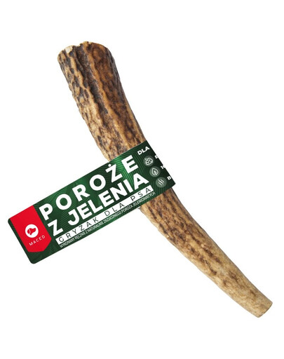 MACED - Bois de cerf taille L - 1 pièce