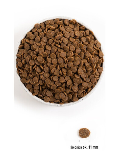 ACANA Dog Puppy & Junior 11.4 kg