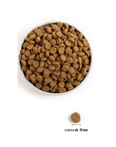 ACANA Puppy large breed dog 17 kg