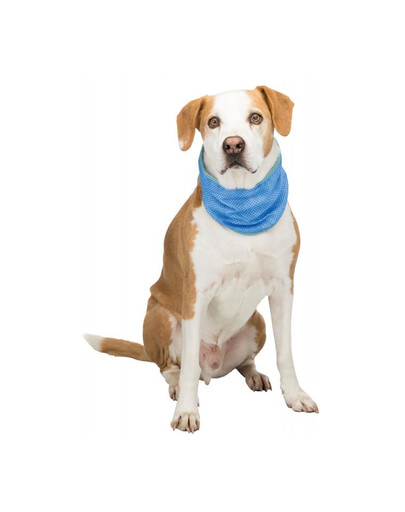 TRIXIE Bandana rafraîchissant PVA, XL: 47–57 cm, bleu