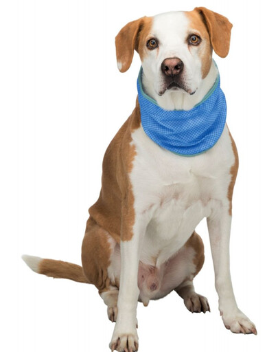 TRIXIE Bandana rafraîchissant PVA M: 28–40 cm