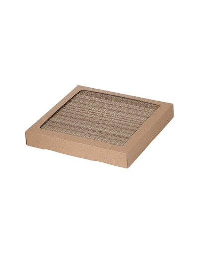 CARTON+ PETS Tom Griffoir pour chat en carton