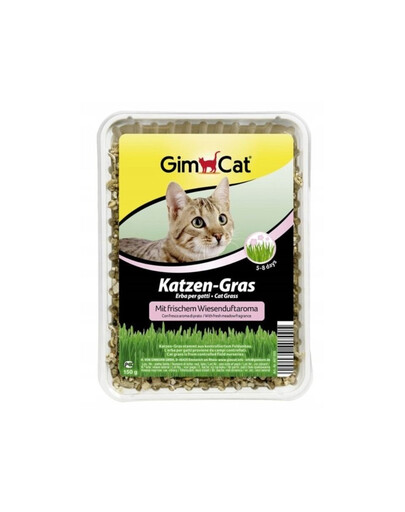 GIMCAT Grass - herbe à chat à l'odeur de prairie fraîche - 150 g