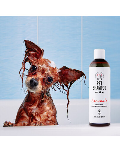 PETS - Shampooing à la camomille pour peaux sensibles - 250 ml