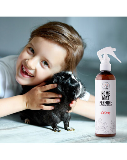 PETS Home Mist Perfume Citrus 250 ml neutraliseur d'odeurs en spray pour l'intérieur agrumes