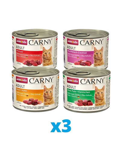 ANIMONDA Carny Set de 4 saveurs différentes 12 x 200 g